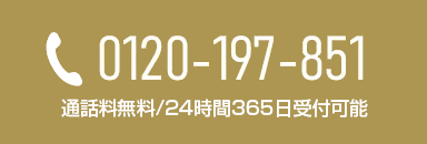 0120-197-851