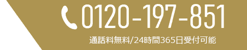 0120-197-851